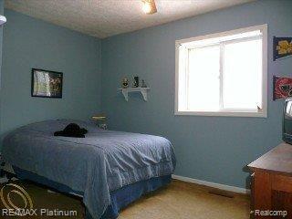 6467 Stow Road Fowlerville, MI 48836 - Photo 10 of 14 Bedroom 3