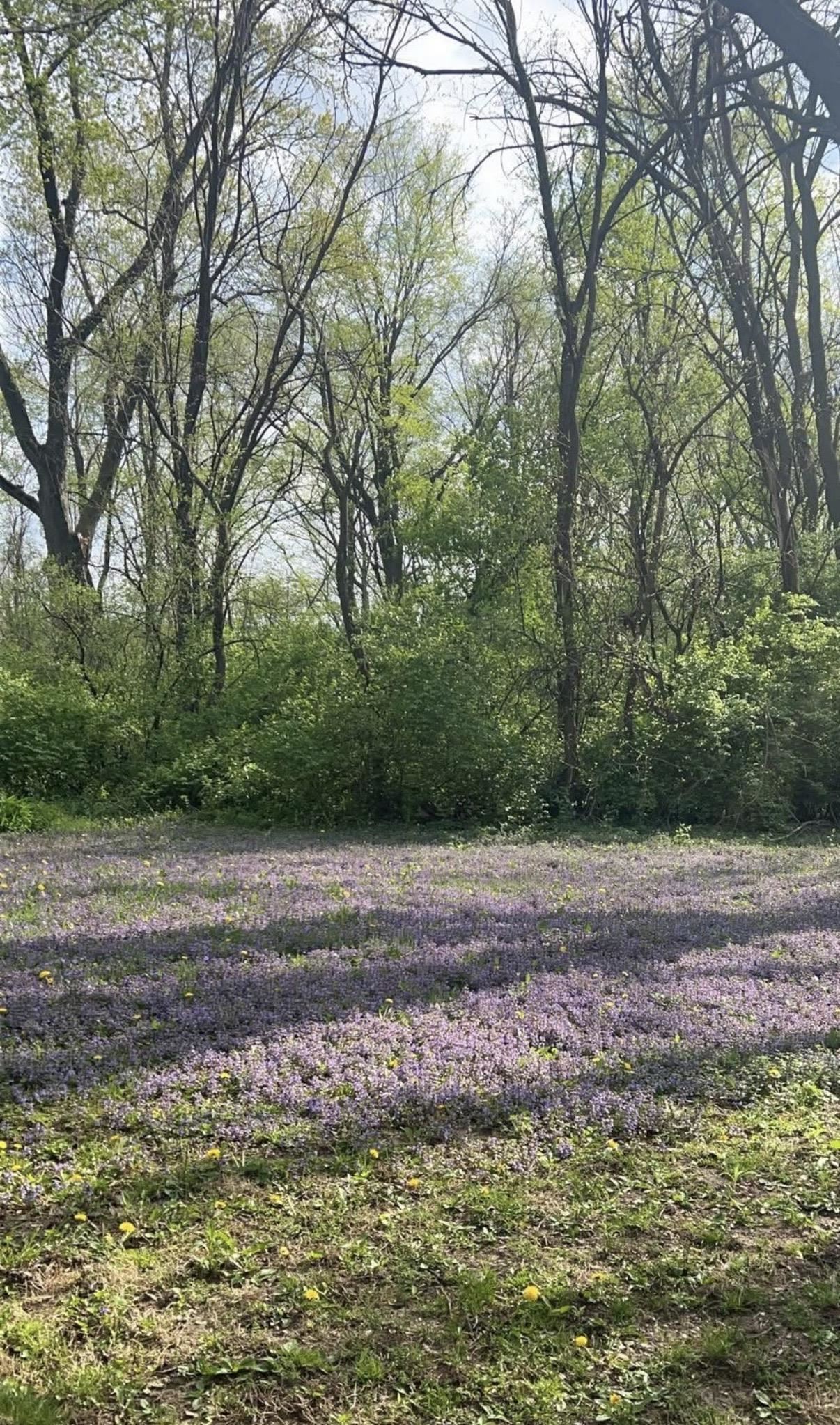1764 Leonard Road Rockford, IL 61109 - Photo 27 of 28