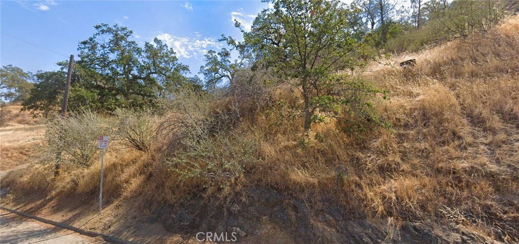 28762 Sky Harbour Road Friant, CA 93626 - Photo 1 of 3 a view of a city with lush green forest