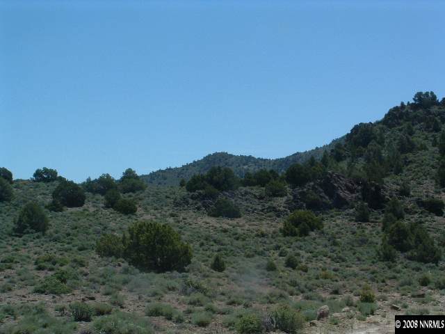 Lot Lousetown Road Reno, NV 89521 - Photo 3 of 9