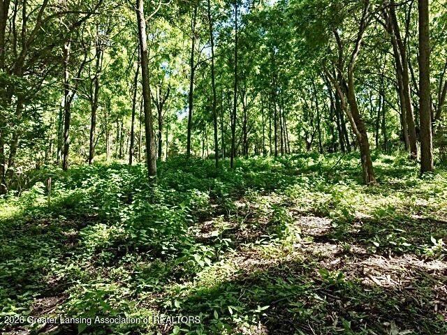 0 East State Road Lansing, MI 48906 - Photo 10 of 10 inside
