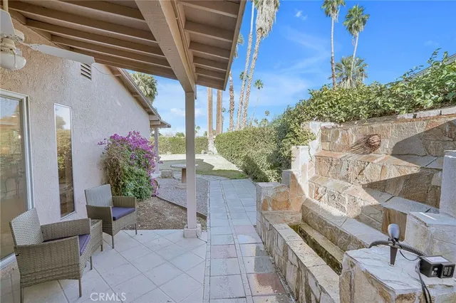 a potted plant sitting in front of a house