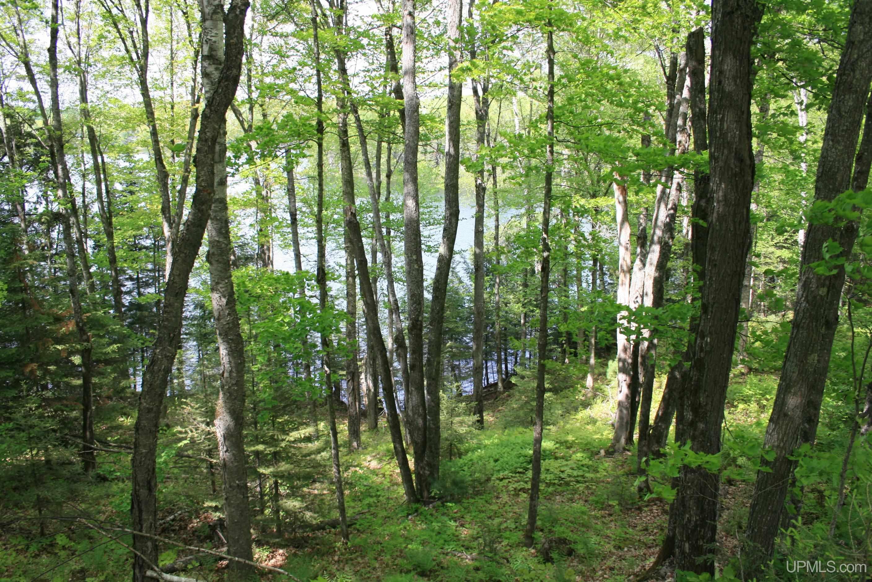 Tbd Sucker Lake Road Watersmeet, MI 49969 - Photo 12 of 24