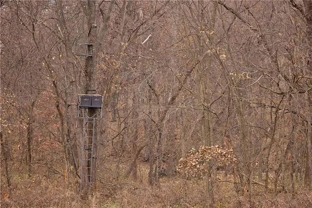 $1,000,000 | 32184 East 237th Street, Ridgeway, MO 64481