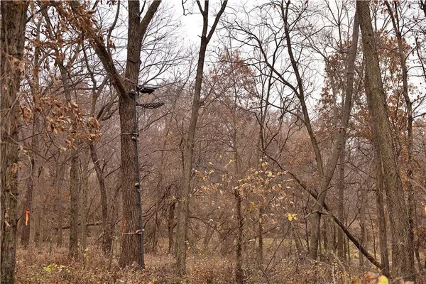 $950,000 | 32184 East 237th Street, Ridgeway, MO 64481