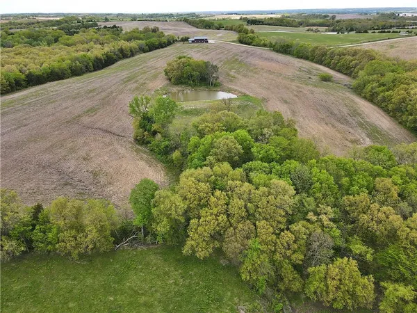 $950,000 | 32184 East 237th Street, Ridgeway, MO 64481