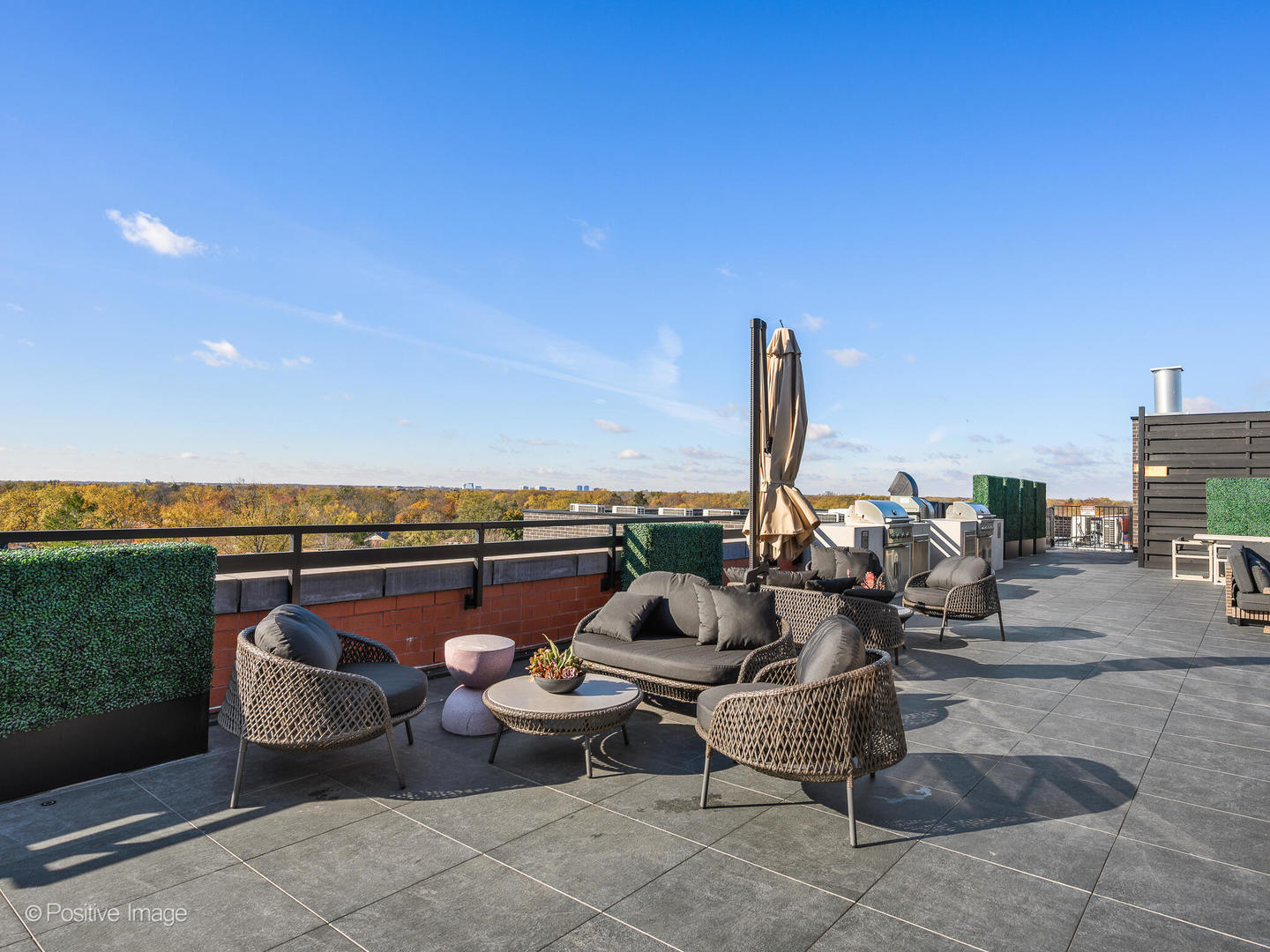 11 West Prospect Avenue, Unit 216 Mount Prospect, IL 60056 - Photo 16 of 32