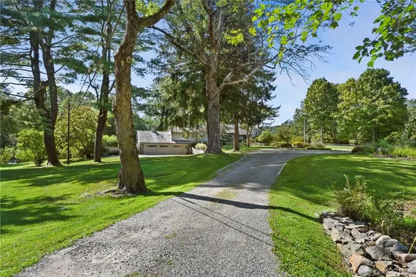 a view of a park with tree s