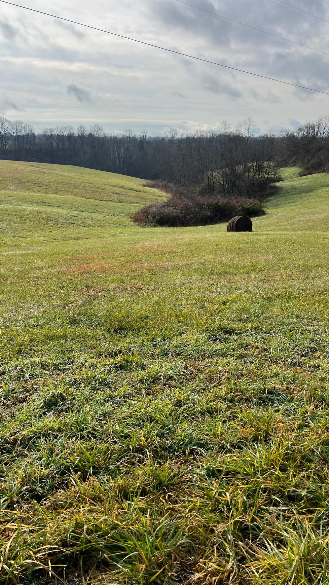 360-1 Mulligan Road Dry Ridge, KY 41035 - Photo 16 of 17 IMG_0750