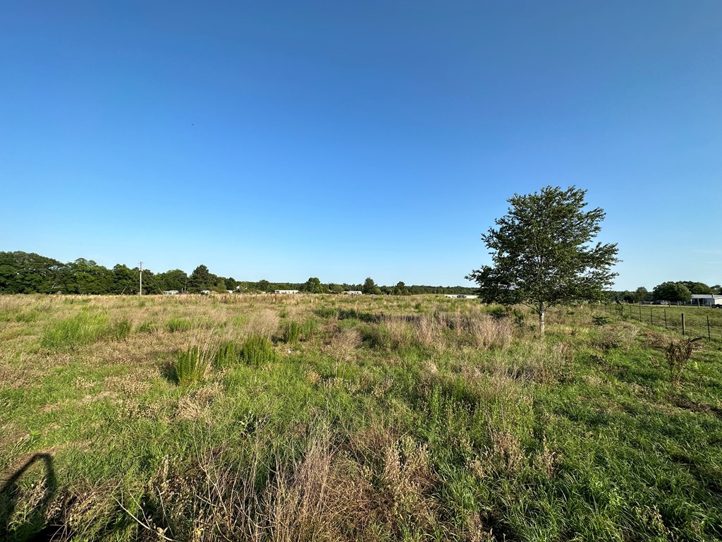 761 Rehobeth Road Dothan, AL 36301 - Photo 8 of 12