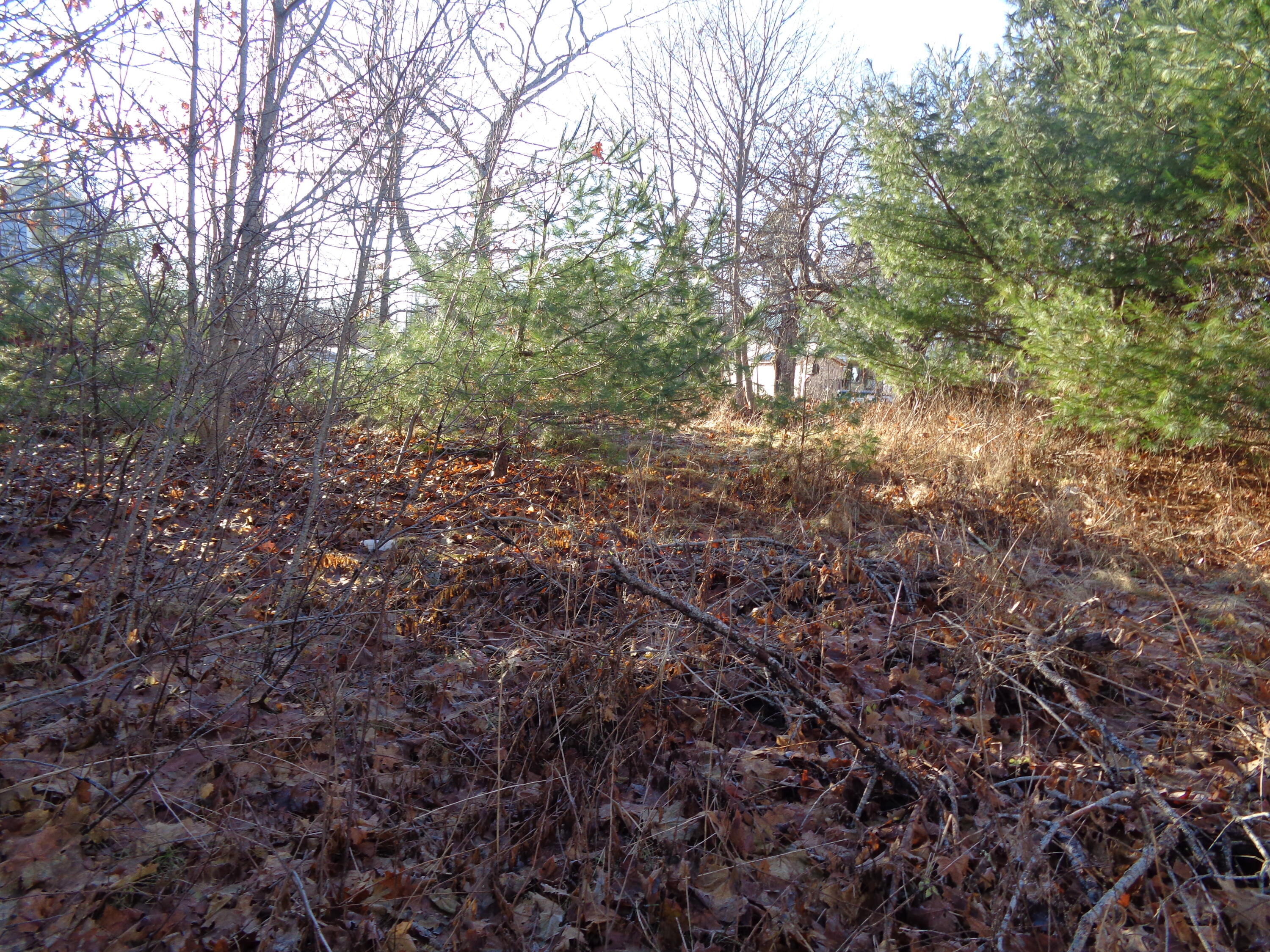 68 Quarry Road Sullivan, ME 04664 - Photo 2 of 16 View near road