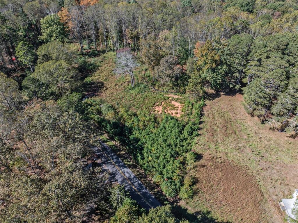 16662 Phillips Road Milton, GA 30004 - Photo 12 of 17 a view of a yard with plants and tree