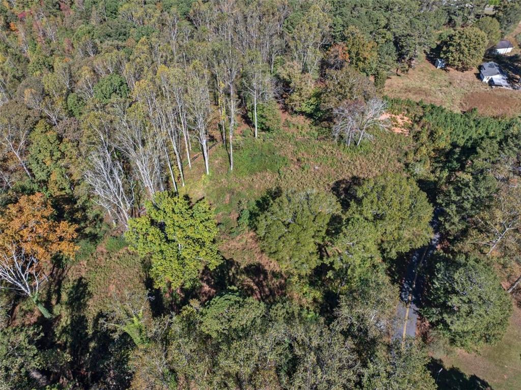 16662 Phillips Road Milton, GA 30004 - Photo 13 of 17 a view of a garden with a tree