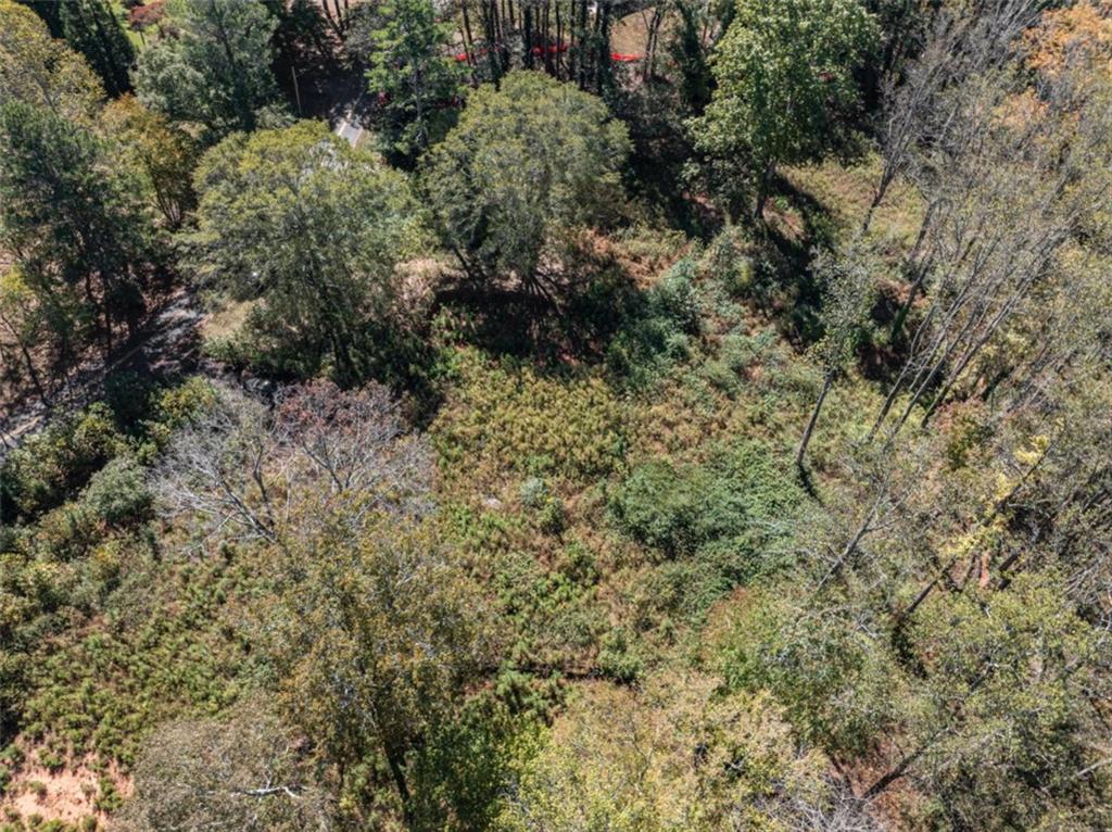 16662 Phillips Road Milton, GA 30004 - Photo 14 of 17 a view of a forest with a tree