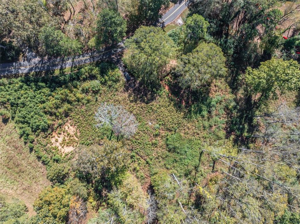 16662 Phillips Road Milton, GA 30004 - Photo 15 of 17 a view of a forest with a tree