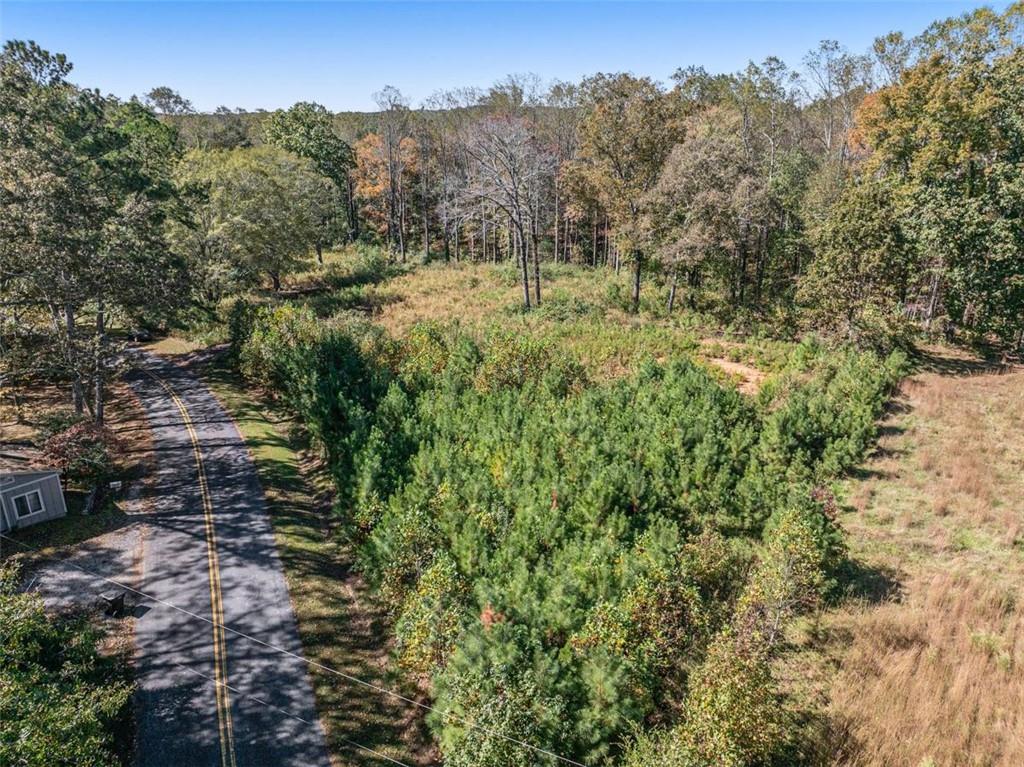 16662 Phillips Road Milton, GA 30004 - Photo 2 of 17 a view of a yard with a tree in the background