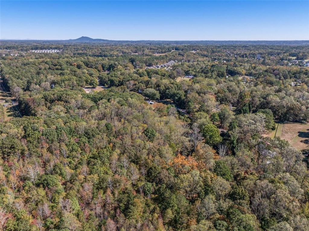16662 Phillips Road Milton, GA 30004 - Photo 7 of 17 an aerial view of residential houses with outdoor space and trees