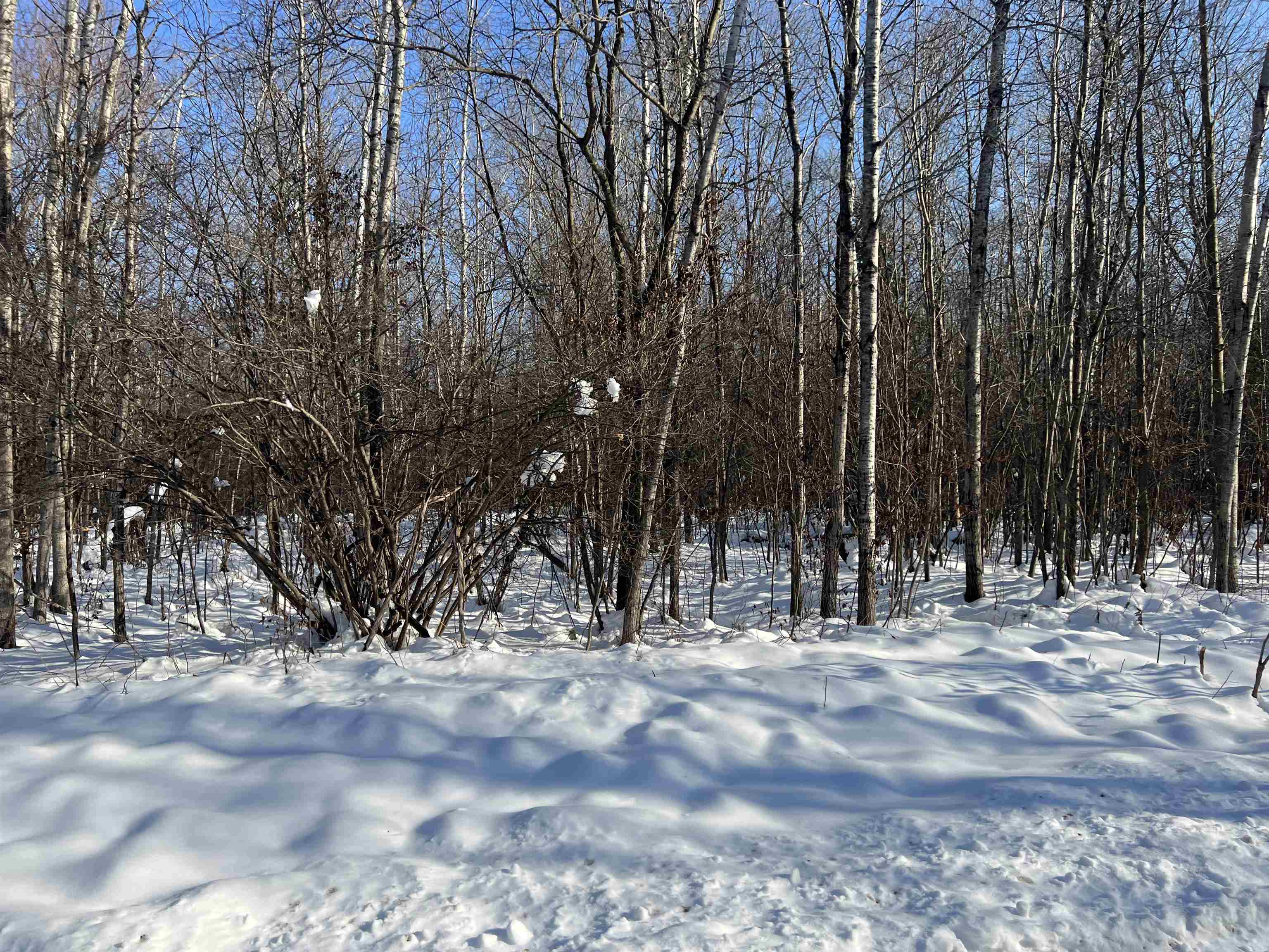 Irvin Road Kingsley, MI 49649 - Photo 14 of 14