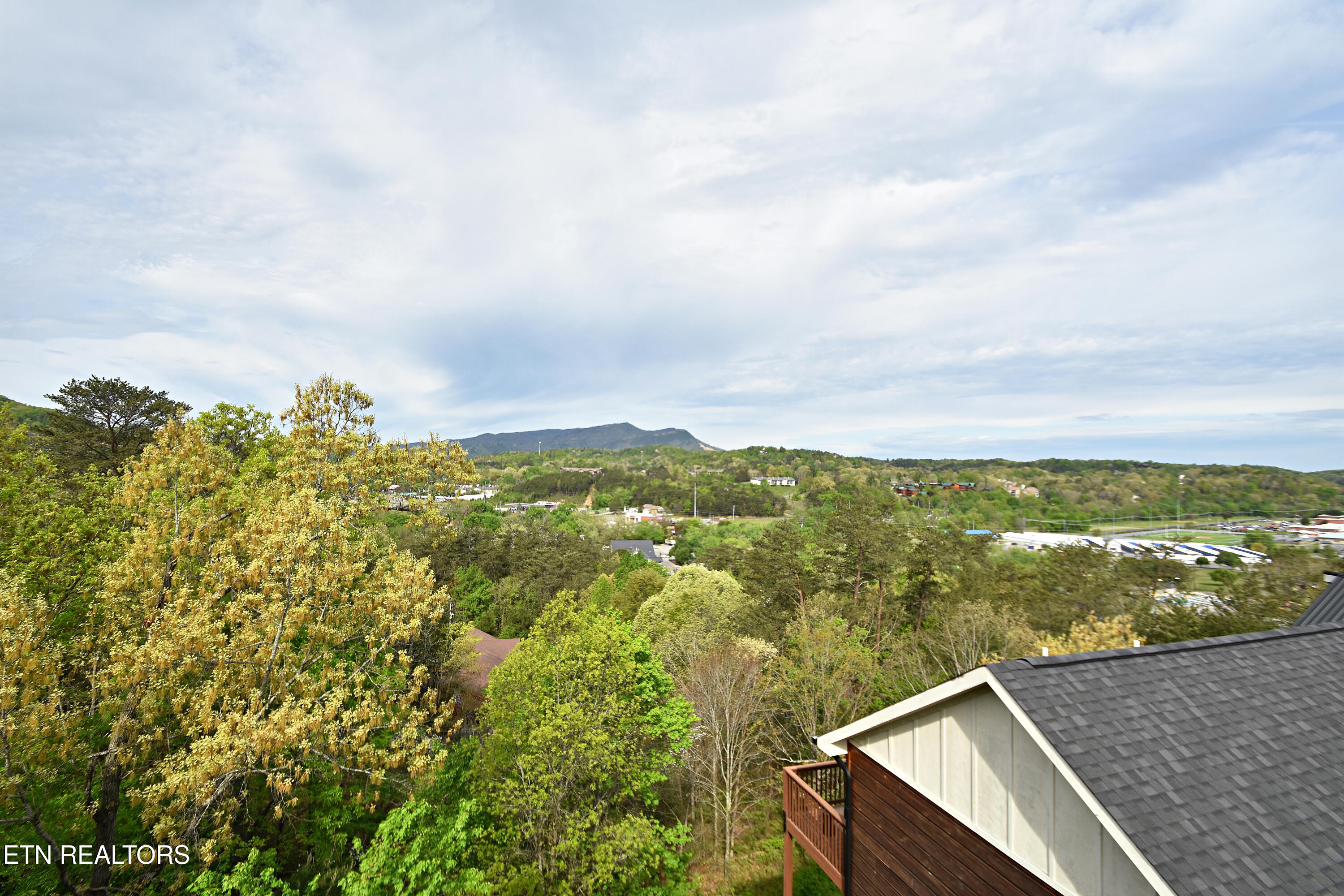419 Stone Ridge Way Pigeon Forge, TN 37863 - Photo 28 of 30 DSC_0915