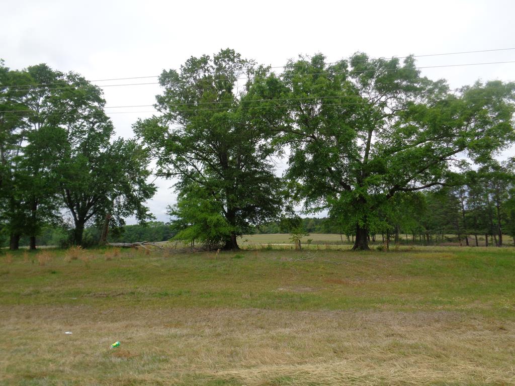 1-ac 1-ac Road Dothan, AL 36301 - Photo 1 of 1
