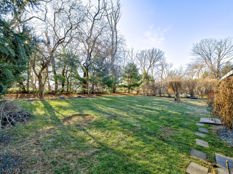 15 Patton Street High Bridge, NJ 08829 - Photo 37 of 46 a view of yard with trees