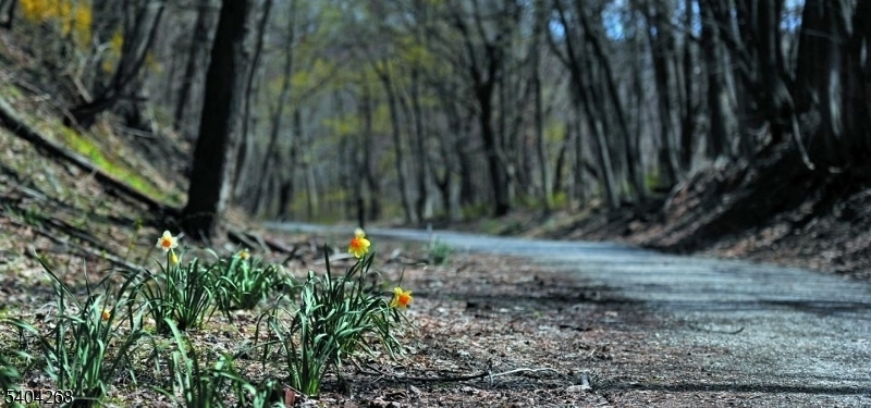 15 Patton Street High Bridge, NJ 08829 - Photo 42 of 46