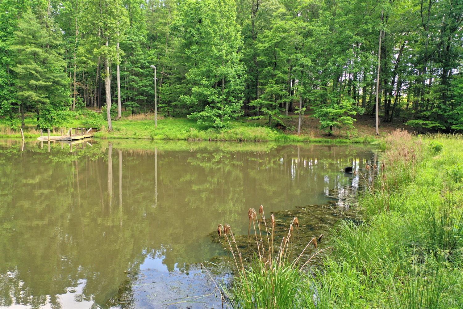 798 High Peak Road Monroe, VA 24574 - Photo 93 of 96 a garden view with a lake view