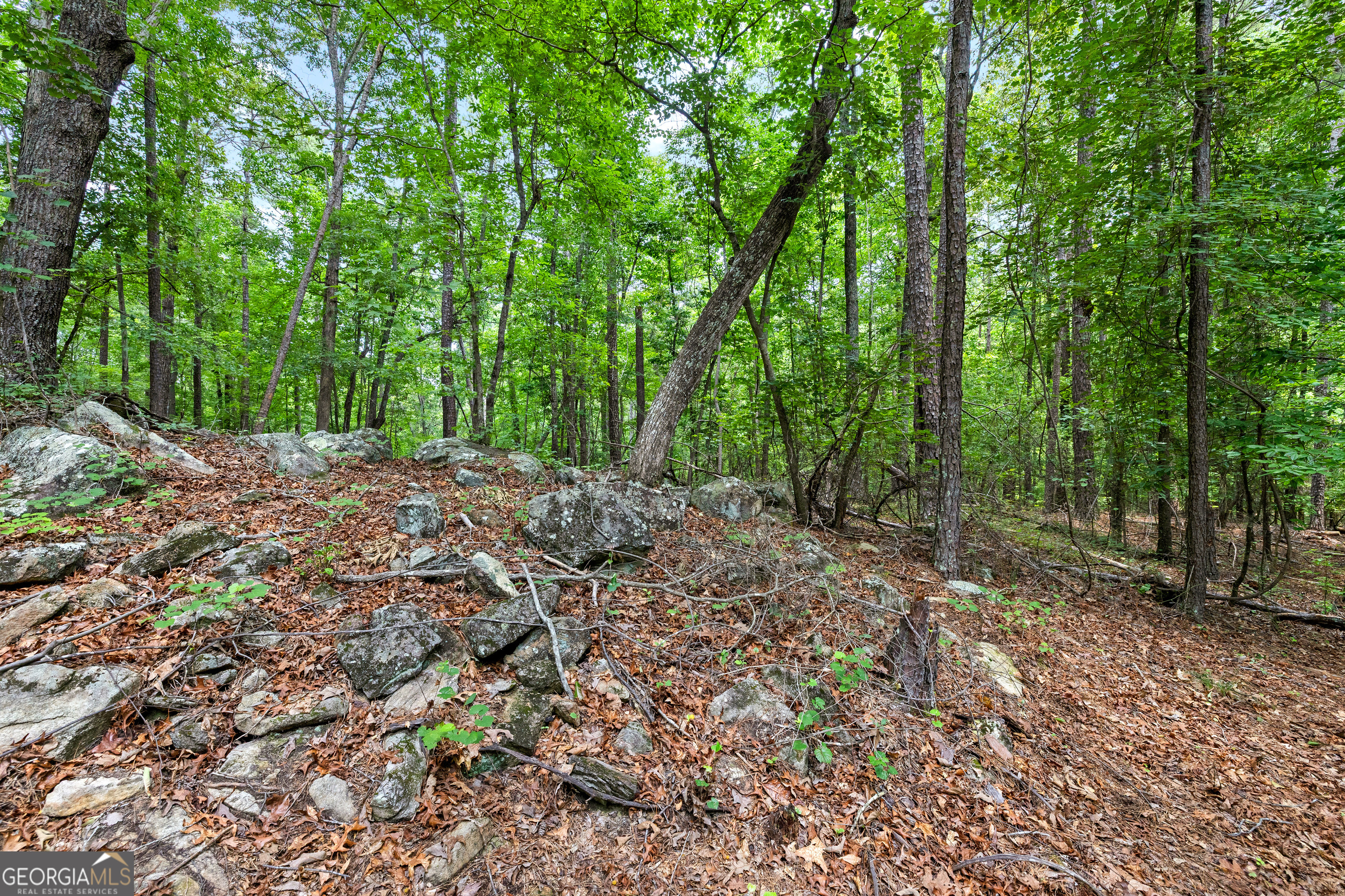 0 Terry Road Fairburn, GA 30213 - Photo 18 of 22