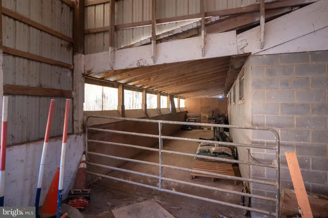 a view of a park with large trees