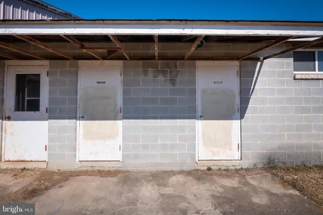 a view of a park with large trees
