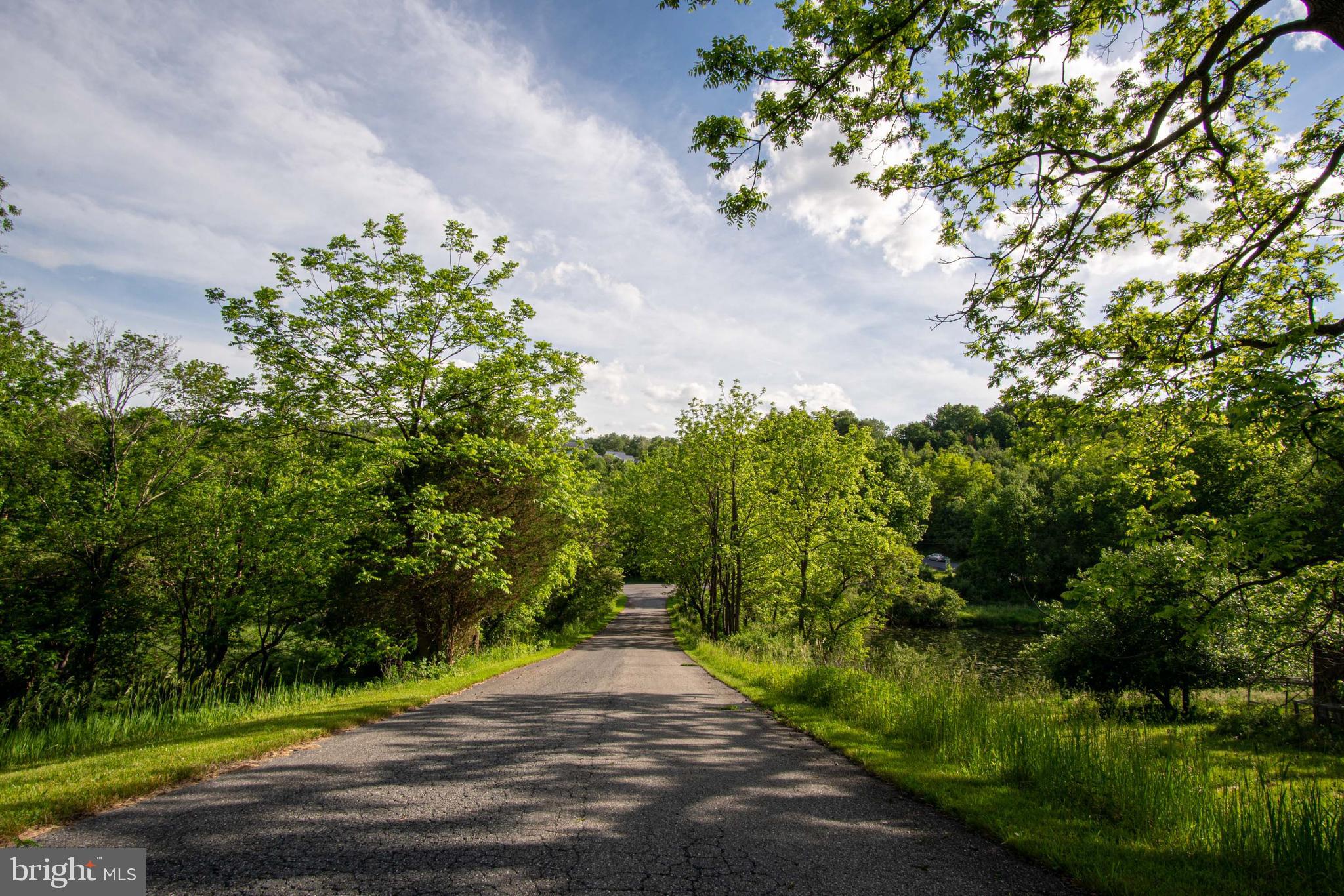 827 Pheasant Run Road Effort, PA 18330 - Photo 38 of 54 a view of a street with a tree