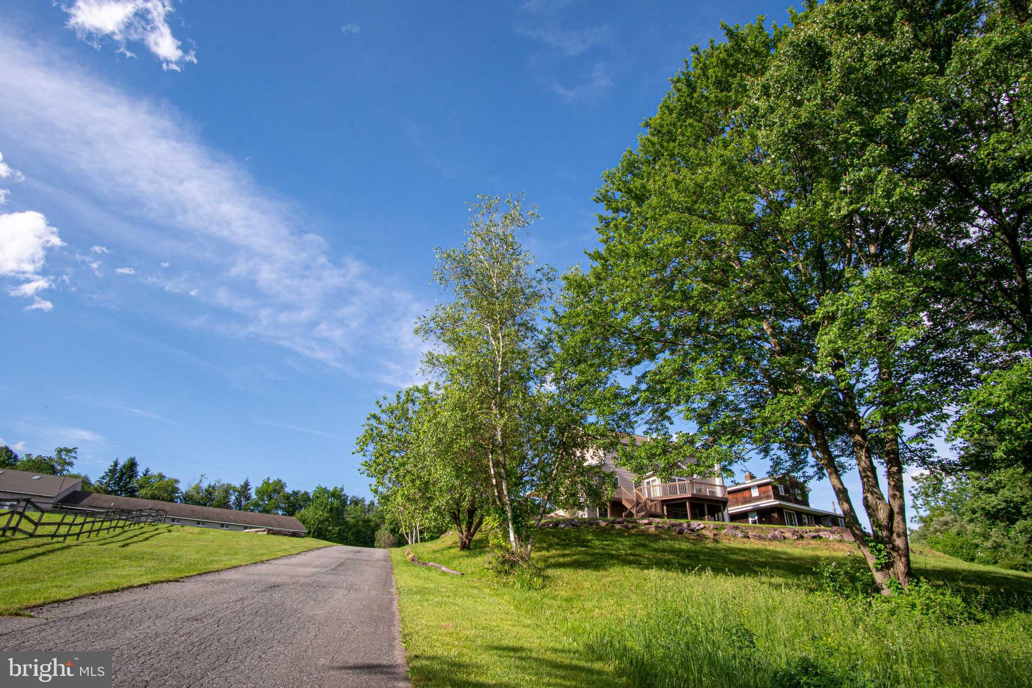 827 Pheasant Run Road Effort, PA 18330 - Photo 39 of 54 a view of a yard with a large trees