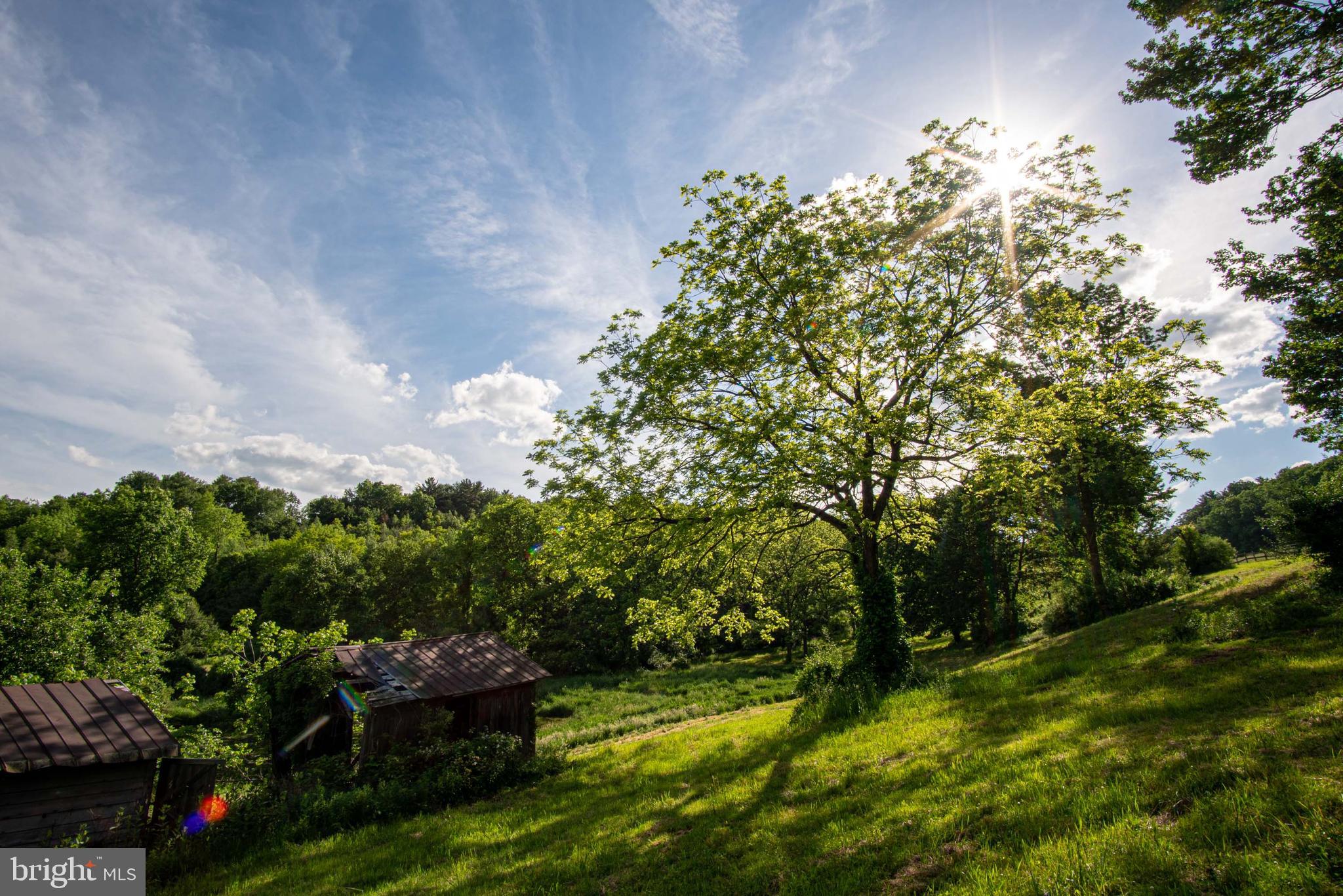 827 Pheasant Run Road Effort, PA 18330 - Photo 46 of 54 a view of a garden with plants and a bench