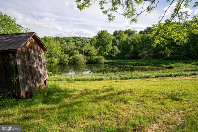 a view of yard with large trees