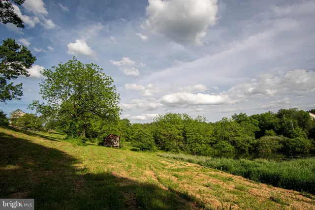 a view of a city with lush green forest
