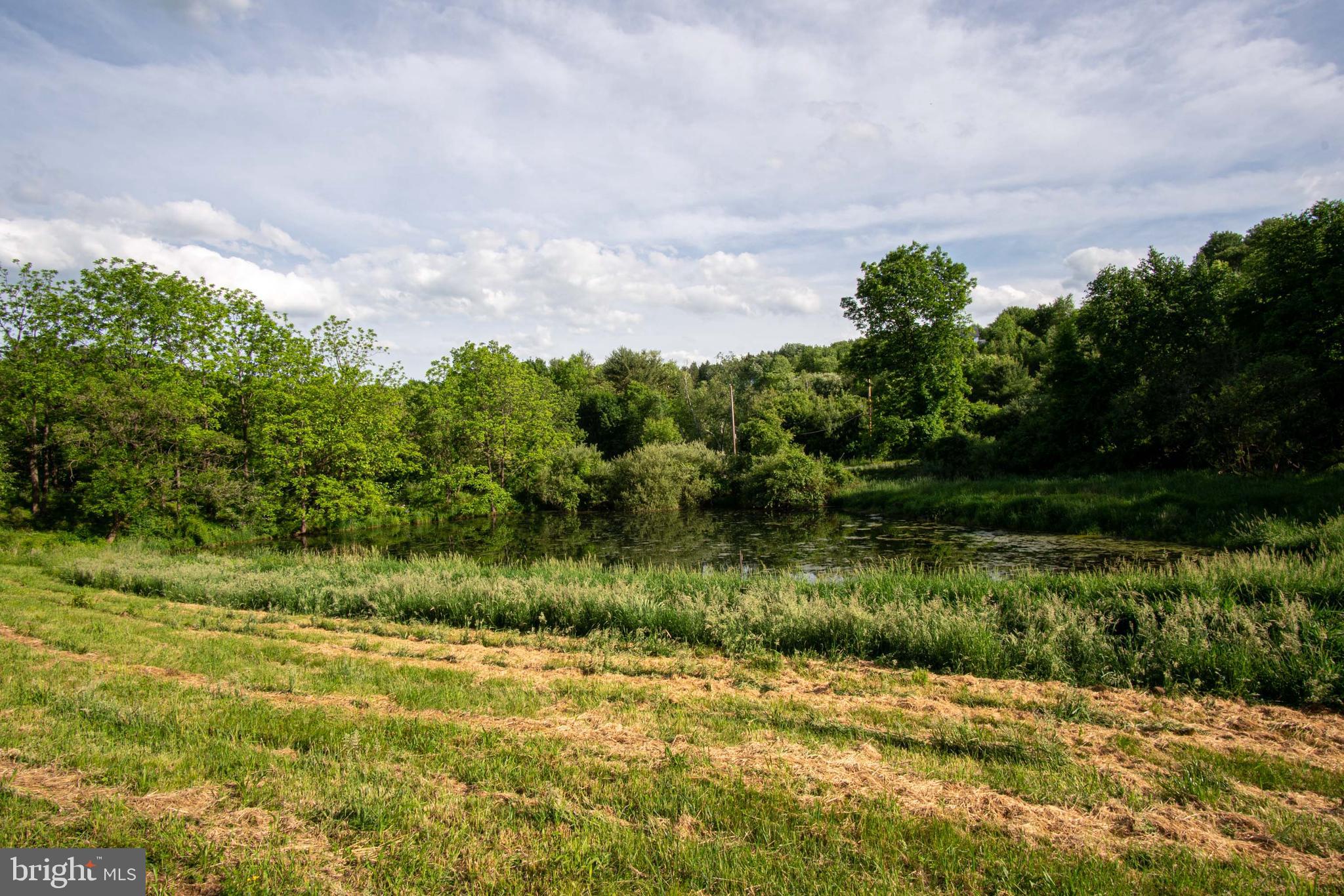 827 Pheasant Run Road Effort, PA 18330 - Photo 49 of 54 a view of a garden with a tree