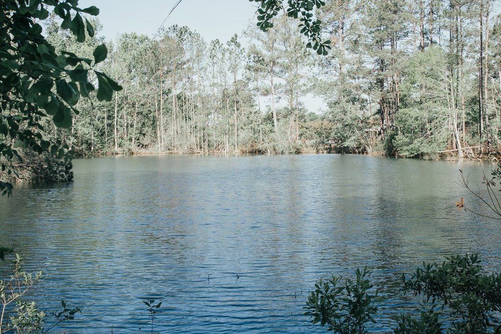5723 Race Track Road Hahira, GA 31632 - Photo 9 of 17 Gallery Image 9