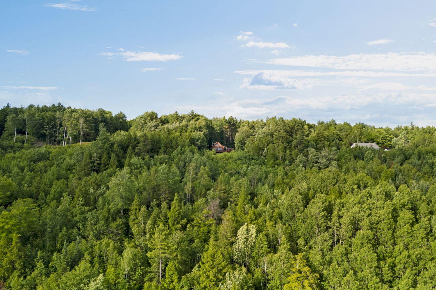 1275 West Side Road Weld, ME 04285 - Photo 45 of 66 52-web-or-mls-1275-west-side-rd_result
