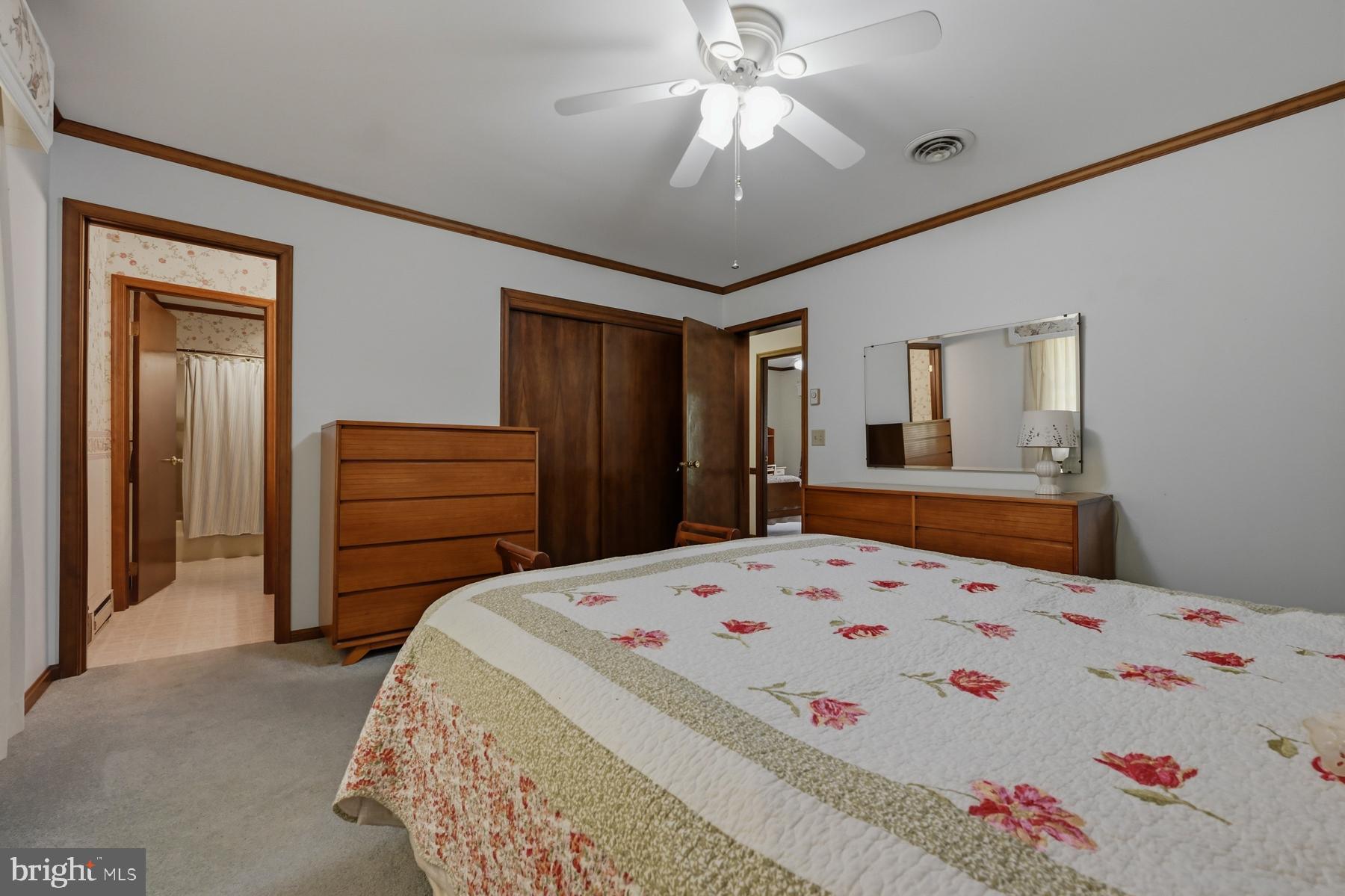 9829 Bantry Road Easton, MD 21601 - Photo 32 of 66 In suite bath & walk in closet