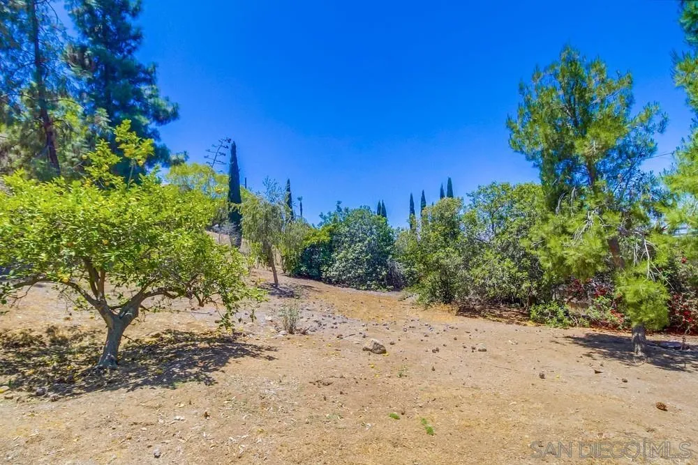 8680 Golf Drive Spring Valley, CA 91941 - Photo 61 of 70 a view of a yard with a tree