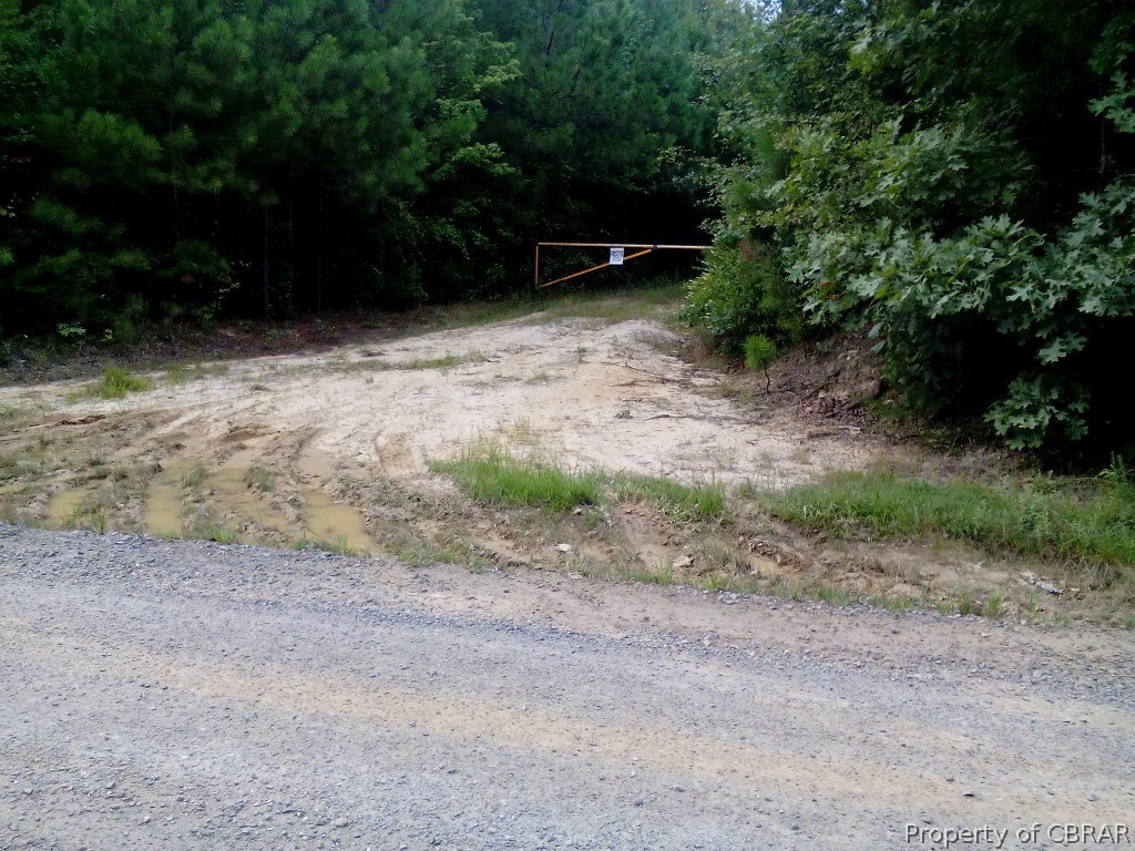 57.4-ac 57.4-ac Poplar Grove Road Center Cross, VA 22437 - Photo 3 of 12