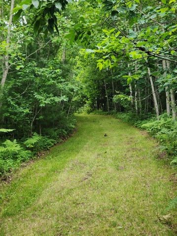 6565 Lynch Bridge Road Siren, WI 54872 - Photo 27 of 60