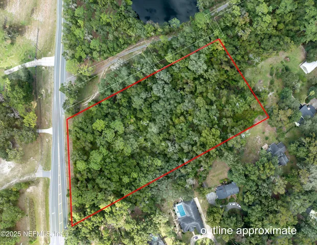 a close up of a plant in a garden