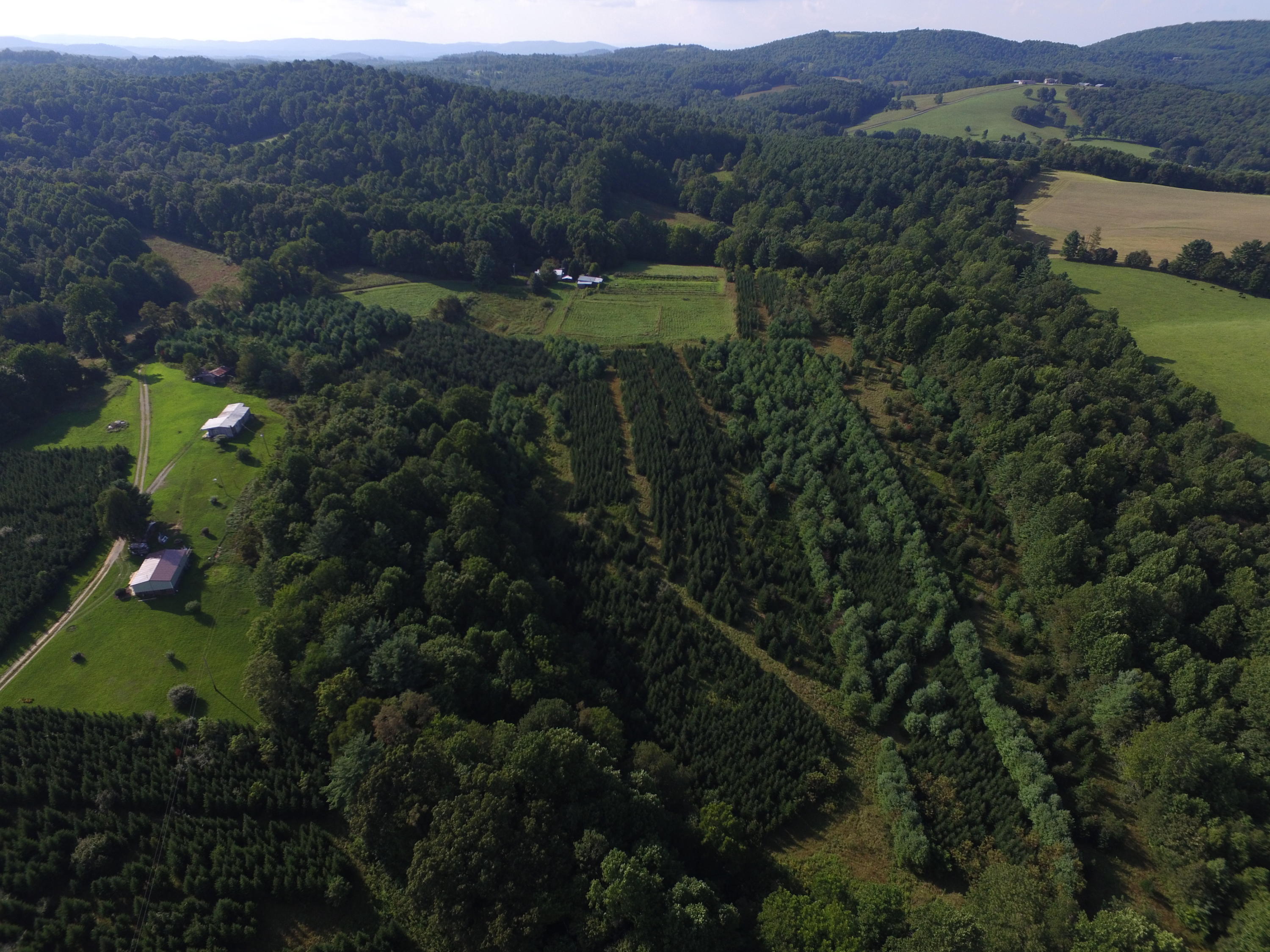 0 Riggins Road Northwest Willis, VA 24380 - Photo 2 of 65 a view of a lush green hillside and houses