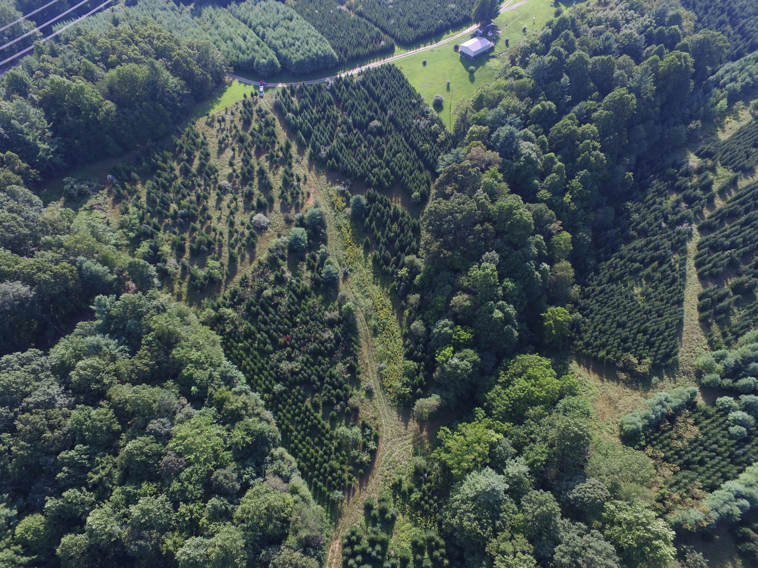 0 Riggins Road Northwest Willis, VA 24380 - Photo 4 of 65 DJI_0013