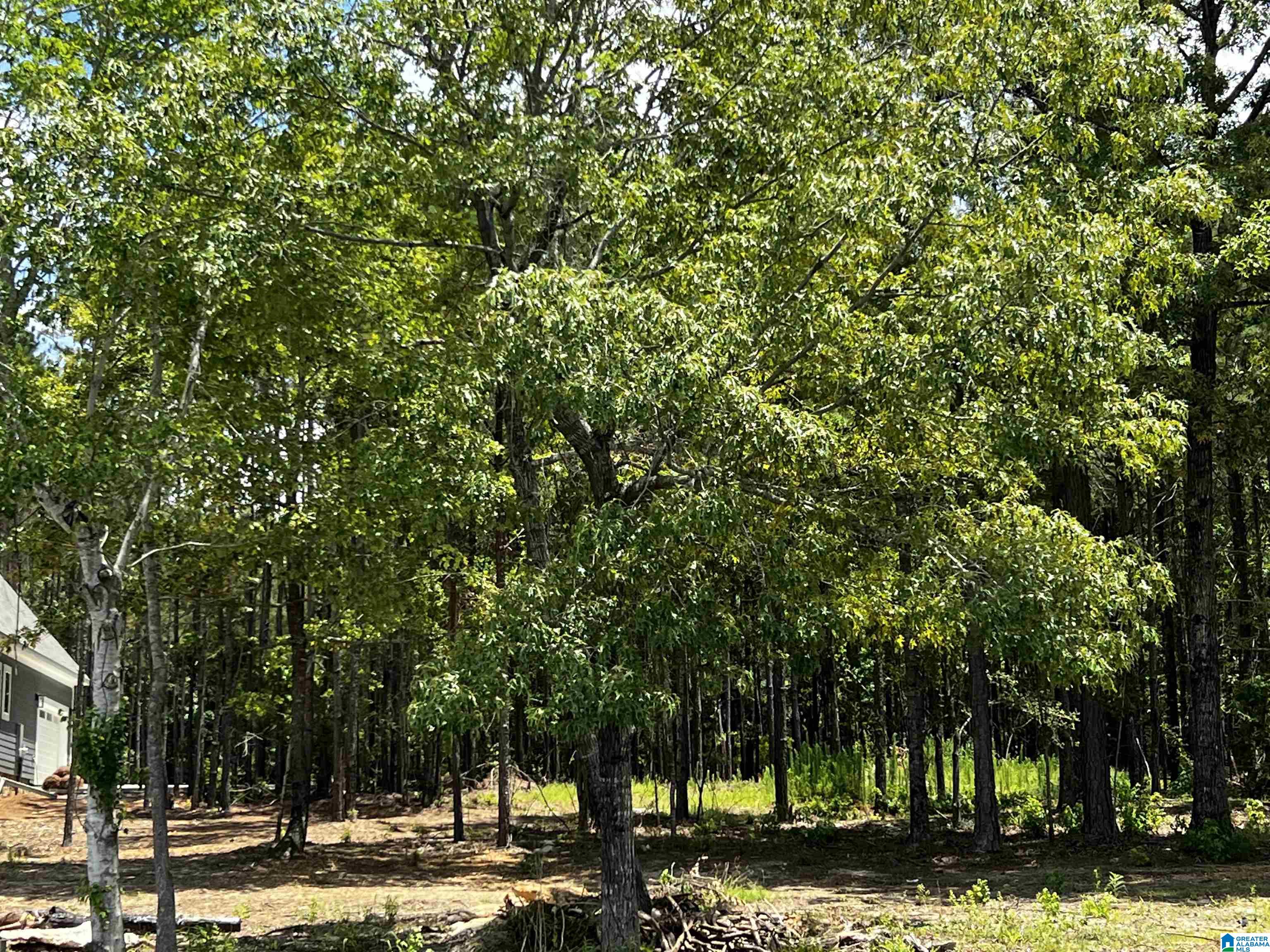 0 Daybreak Curve, Unit 5 Rockford, AL 35136 - Photo 2 of 10