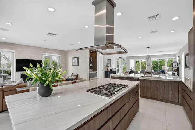 a view of a yard with plants