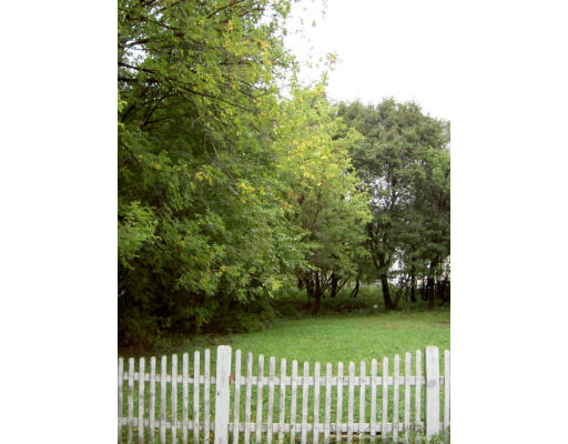 55 Hiawatha Road Boston, MA 02126 - Photo 1 of 1 Gallery Image 1