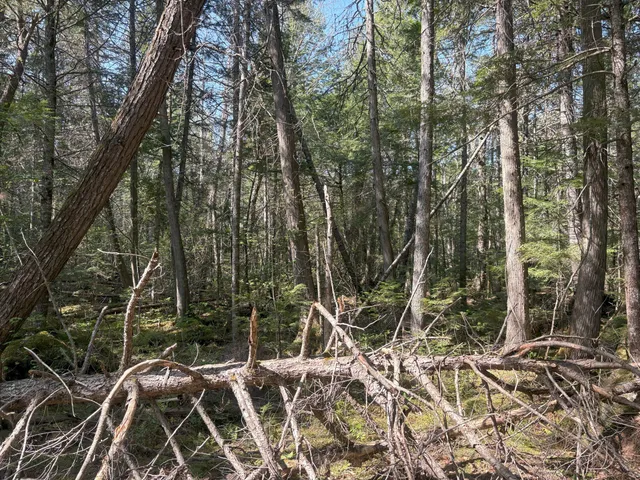 $119,900 | M7-l5 M7-l5 Lombard Road, Lakeville, ME 04487