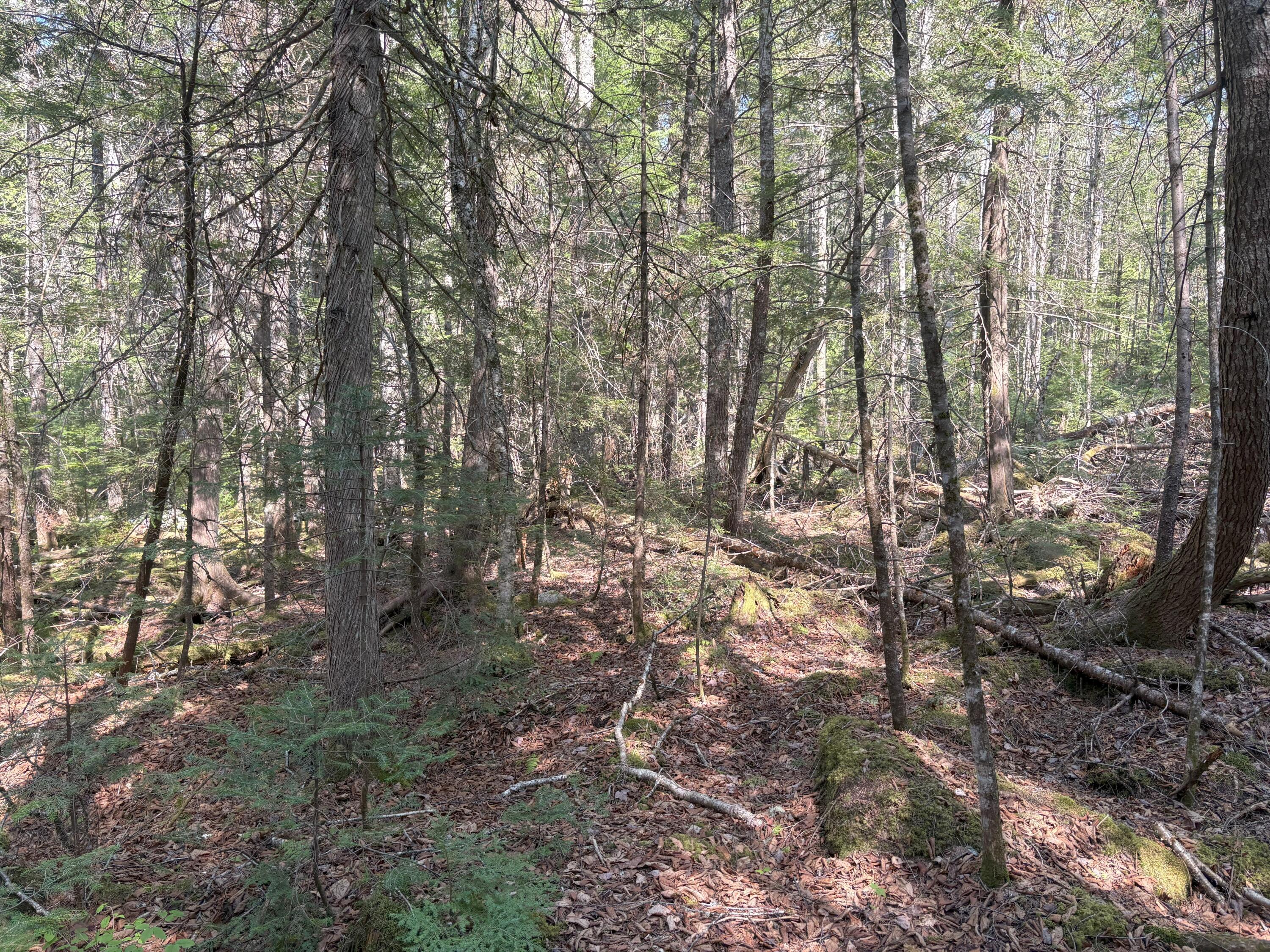 M7-l5 M7-l5 Lombard Road Lakeville, ME 04487 - Photo 12 of 26 IMG_4780